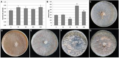 Physiological Characteristics and Comparative Secretome Analysis of Morchella importuna Grown on Glucose, Rice Straw, Sawdust, Wheat Grain, and MIX Substrates